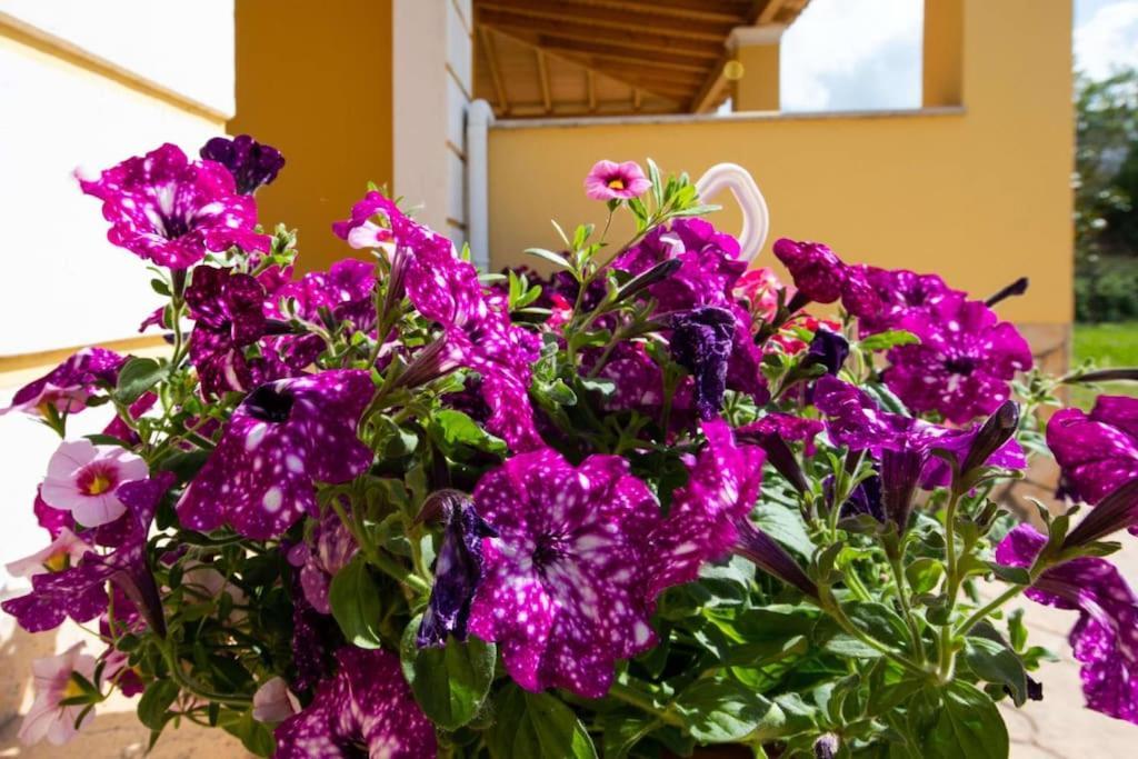 Holiday home Corfu Ariti *