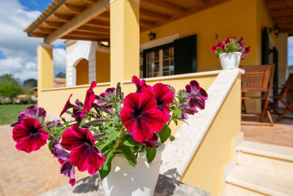 Holiday home Corfu Ariti Mesaria (Corfu)